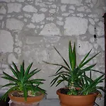 Riviera 3*